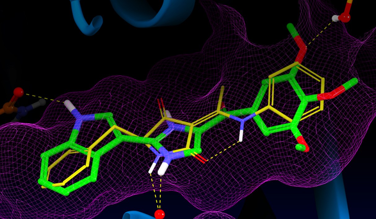 The systematic flow of an Integrative Network Pharmacology, Molecular Docking and Experimental Validation Reveal Multitarget Mechanisms of cloves (Syzygium aromaticum) Essential Oil in Pain Modulation